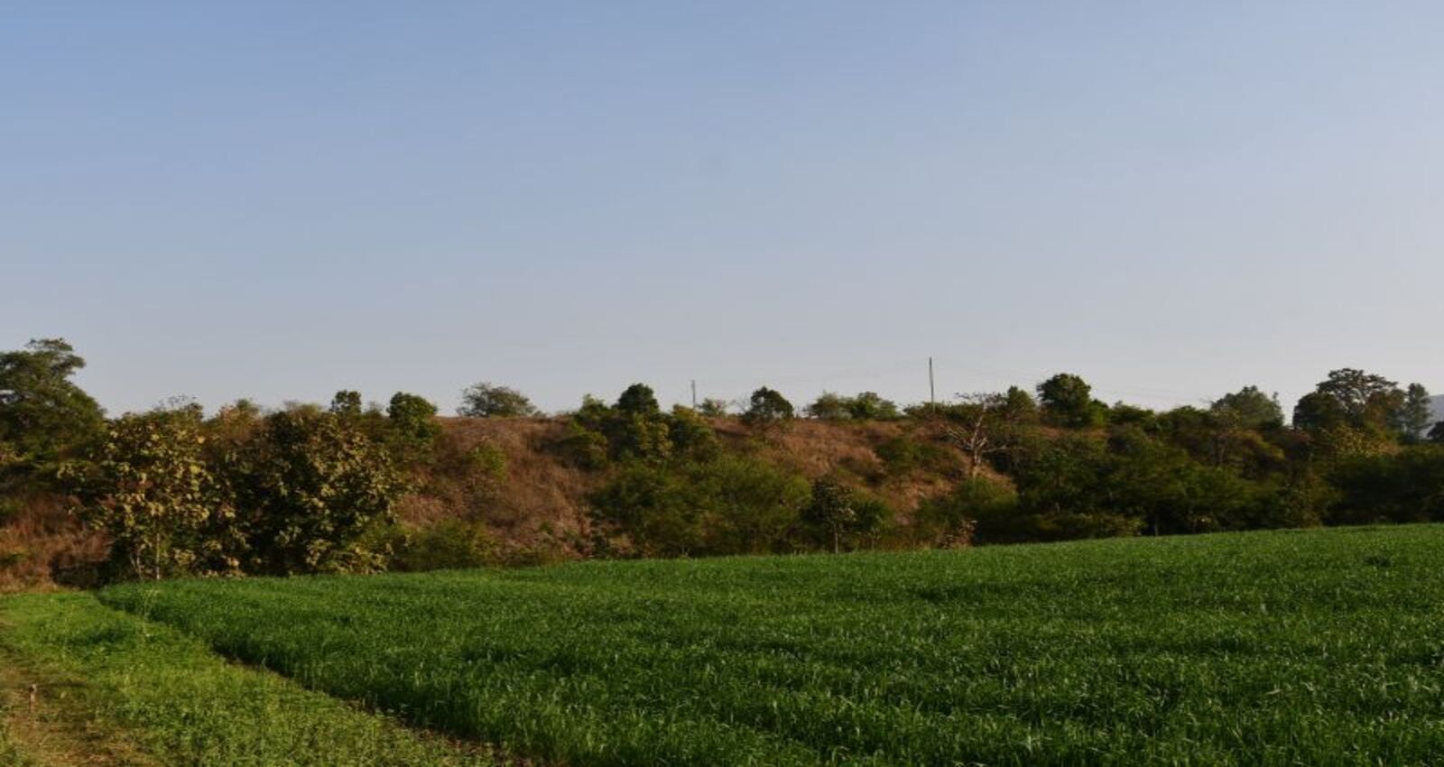 riverranch2